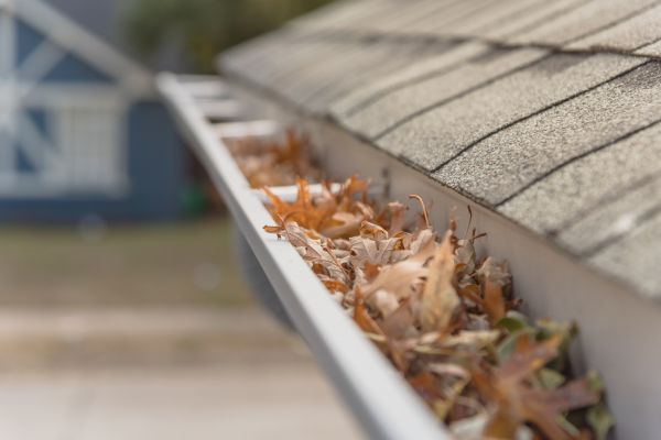 Leaf Barrier Installation in Jacksonville